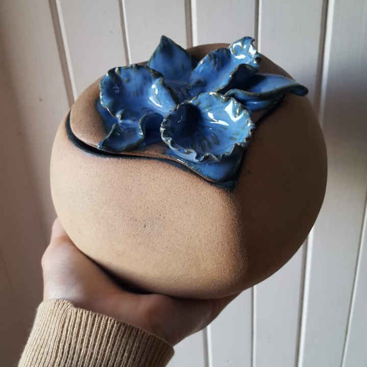 @blossomtania @garden.wisdom